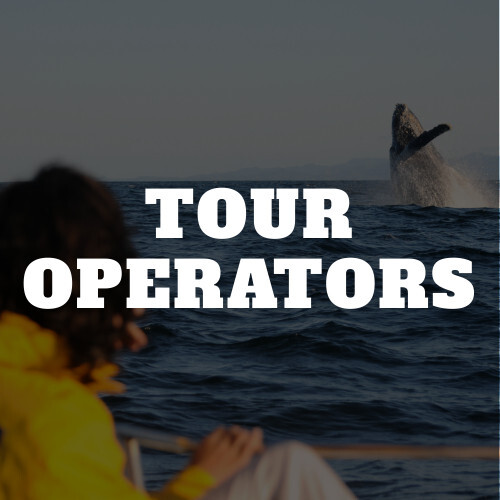 Tour Operator Booking Software